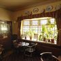 The Wych Elm
