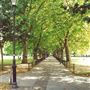 Highbury Terrace