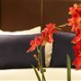 Millennium & Copthorne Hotels at Chelsea Football Club
