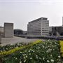 The Deck, National Theatre