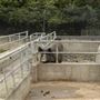 Newham City Farm