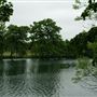 Valentines Park