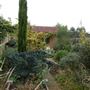 Capel Manor College and Gardens