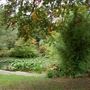 Capel Manor College and Gardens