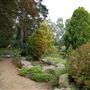 Capel Manor College and Gardens