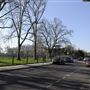 Hurlingham Road