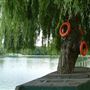 Regent's Park Boating Lake