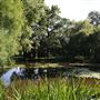 Bushy Park