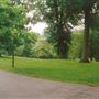 Primrose Hill