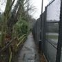 Heath Lane