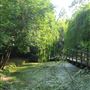 New River Path - Heritage Section