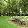 King Square