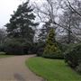 Dulwich Park