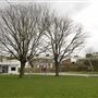 Normand Park