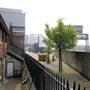 Harrow Club W10