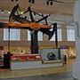 Science Museum