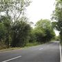 Whitings Wood