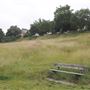 The Terrace Field