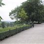 The Terrace Field