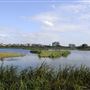 WWT London Wetland Centre