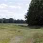 Barnes Common