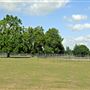 Barn Elms Playing Fields