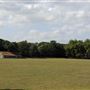 Barn Elms Playing Fields