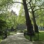 Lincoln's Inn Fields