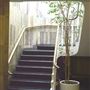 Fulham Registry Office