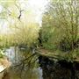 Bishop's Park