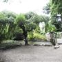 York House Gardens