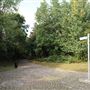 Russia Dock Woodland