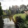 Waddon Ponds
