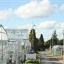 Coombe Wood