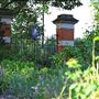 Chelsea Physic Garden