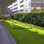 Churchill Gardens