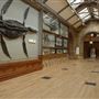 Natural History Museum