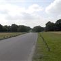 Richmond Park
