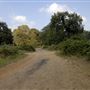 Richmond Park