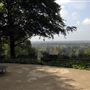 Richmond Park