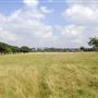 Richmond Park