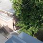 Views from New Academic Building Rooftop, Goldsmiths College