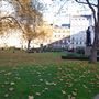Cavendish Square