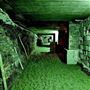 Bunker 51