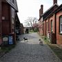 College Farm