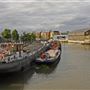 Barking Riverside