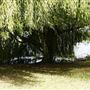 Mayesbrook Park