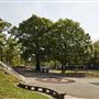 Alexandra Palace - Park