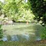 The Tarn