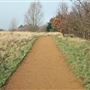 Fairlop Waters